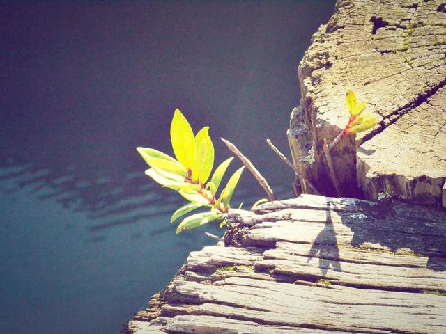 РЕЗКА МЕТАЛЛА